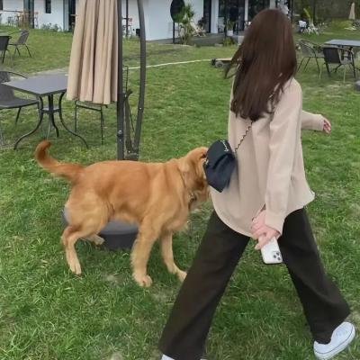 欧内斯特上学